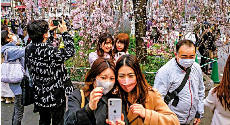 ?赏樱变播毒 日本新增逾4.3万宗