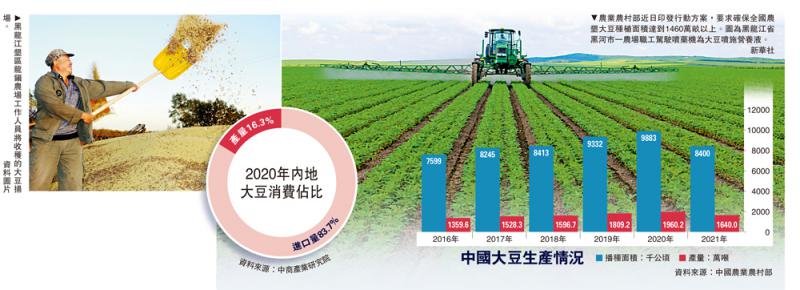 ?端牢饭碗/黑龙江扩种大豆　减少依赖进口