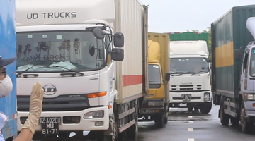 交通运输部：货车司机的核酸检测结果全国要互认、通用