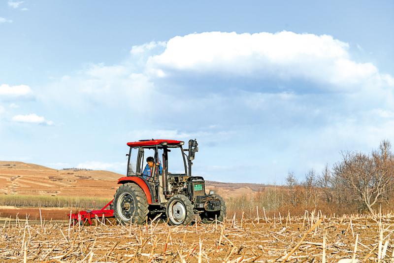 ?稻谷小麥產量足 糧價穩定有基礎