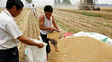 中央财政向实际种粮农民发放100亿元补贴 缓解农资涨价影响