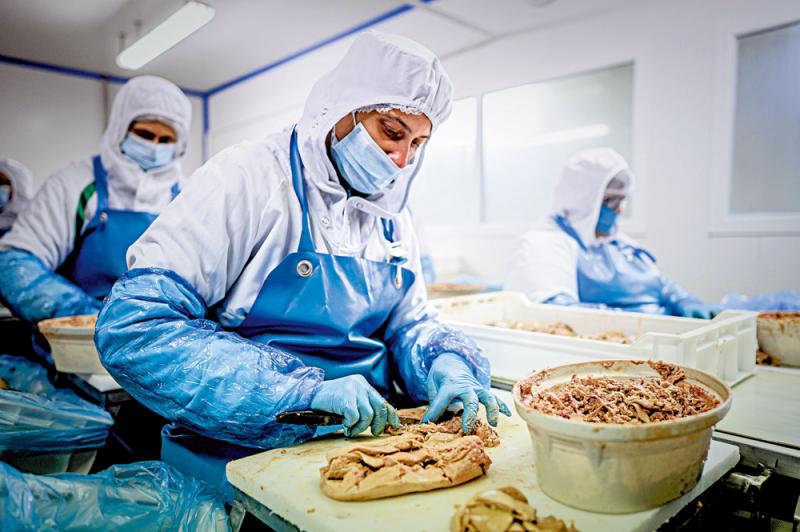 ﻿法国鹅肝减产50% 米芝莲餐厅叫苦