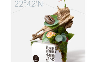新品快报｜雀巢旗下感CAFE推出四款云南纬度小方盒系列新品