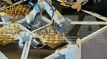 俄羅斯7歲男童國際象棋比賽犯規 手指被機器人夾骨折
