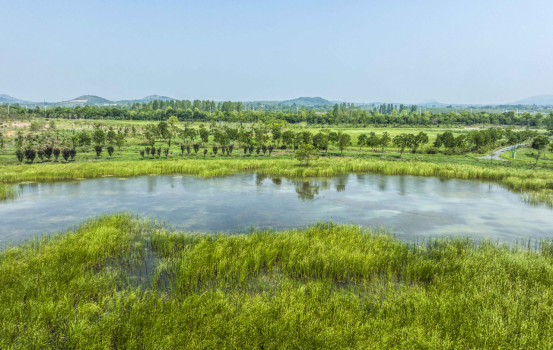 合肥：環巢湖十大濕地建成 「翡翠項鏈」架起生態屏障