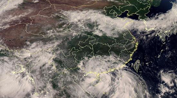 台风“木兰”携风雨登陆粤西 广东高挂63个台风警报