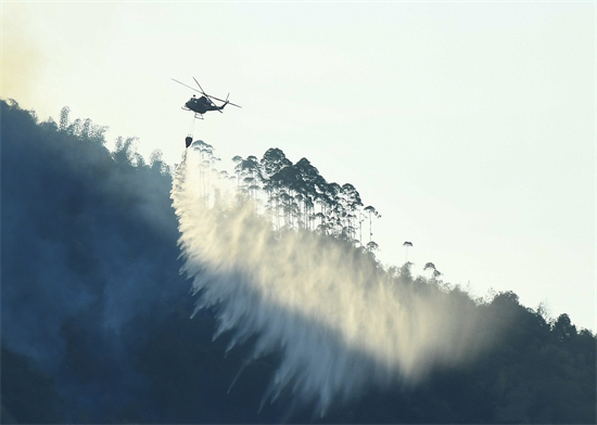 重慶多地山火明火已撲滅　無人員傷亡