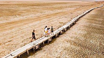 录71年来最低水位明代千眼桥露真容 鄱阳湖大旱古迹“水落石出”