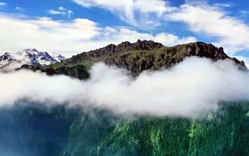 “雾”入仙境，天山天池云雾景观美如画！