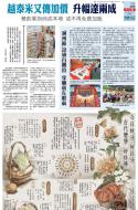 A14：港闻
