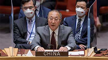 中國代表呼吁推動烏克蘭問題當事方盡快打開政治解決的大門