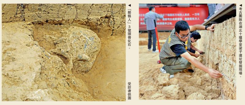 ﻿考古遗迹/鄂发现“直立人”头骨化石 欧亚最完整