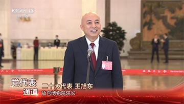 黨代表通道丨故宮博物院院長王旭東提出四大願景