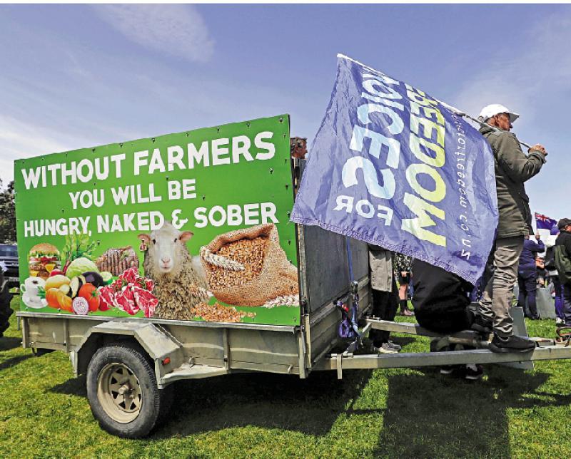 ?新西蘭農民開拖拉機上街抗議“打嗝稅”