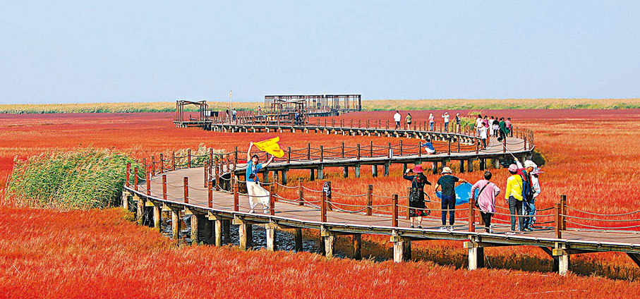遼河三角洲濕地成「紅色海岸線」