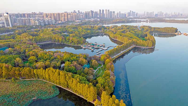 中國擁13座國際濕地城市　世界首位