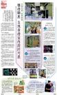 B7：副刊