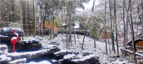西九華山的初雪來了 大雪紛飛美爆啦