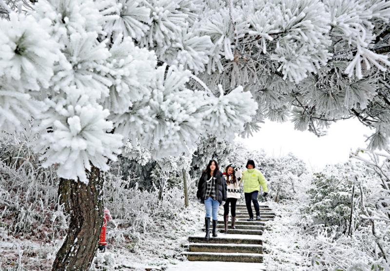 ﻿飄在生命上空的「塞北的雪」/香港華菁會理事 趙陽