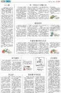 B3：小公园
