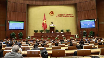 越南罷免兩位副總理 阮富仲反駁“派系之爭”說法