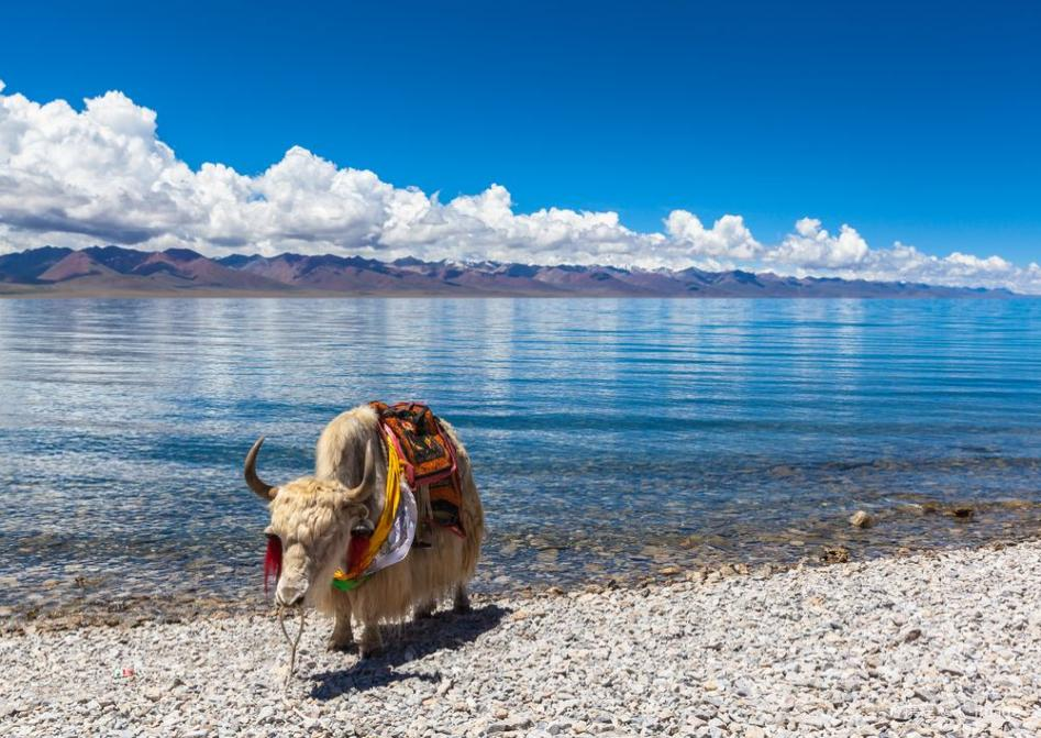 西藏纳木措 圣湖悟禅境