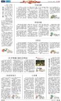 A15：小公园