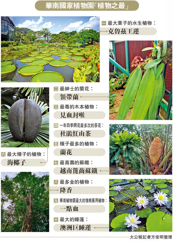 ﻿华南国家植物园“植物之最”