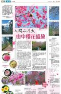 B4：副刊