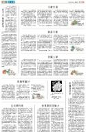 B3：小公园