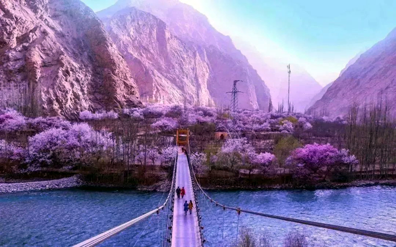 中国．新疆昆仑大峡谷第一届杏花节（塔尔乡分会场）3月28日为你盛大开幕