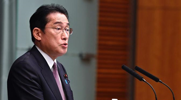 日媒：日本首相岸田將于21日突訪烏克蘭 會見澤連斯基