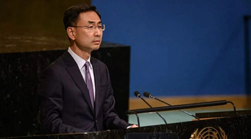 安理会通过决议延长朝鲜制裁委专家小组任期 中方阐述立场