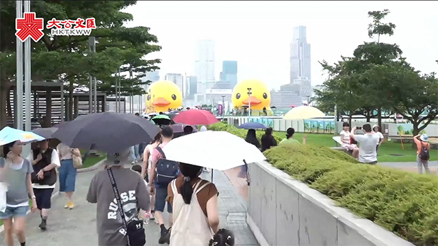 大黃鴨時隔10年再游維港 市民點睇?
