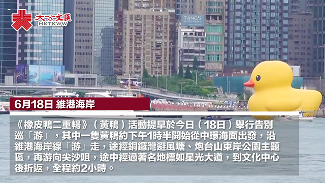 黃鴨告別巡游 香港市民不舍說“拜拜”