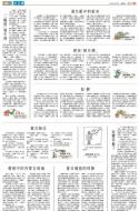 B3：小公园