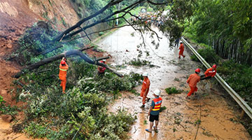 廣西玉林發生多起山體滑坡事件 已致7人遇難
