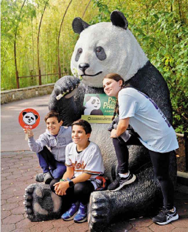 ﻿旅美大熊貓將回中國 美民眾不捨