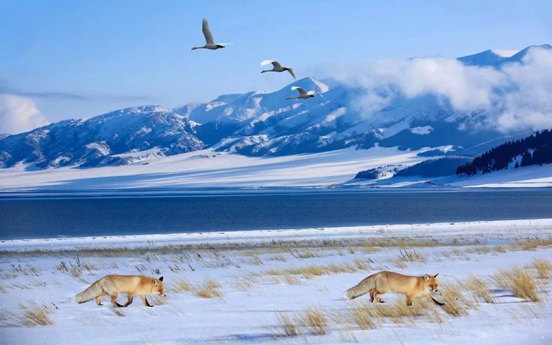 赛里木湖入选全国美丽河湖优秀案例 为新疆河湖首次入选