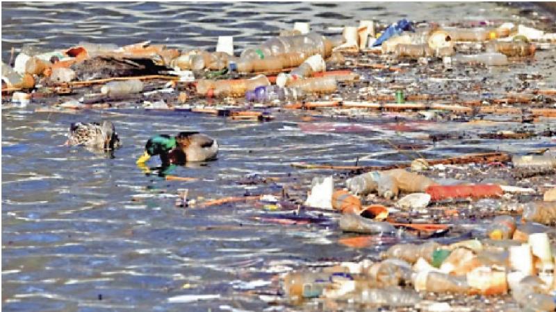 ﻿塑膠包裝污染環境 紐約州起訴百事