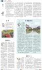 B2：其他