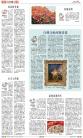 B2：其他