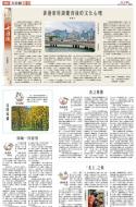 B4：其他