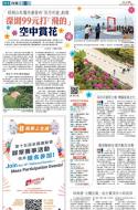 A13：其他