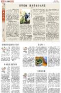 B3：其他