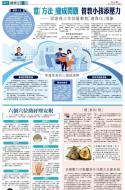 A17：副刊
