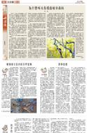 B2：其他
