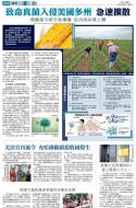 A18：要闻