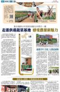 A15：副刊