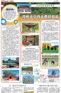 B4：副刊